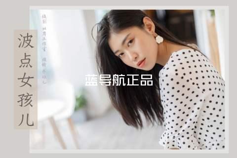 蓝导航正品